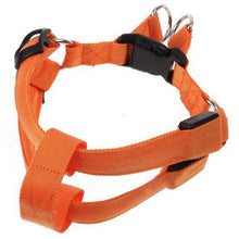 Ladda upp bild till gallerivisning, Led ljus sele till hund och katt, ORANGE