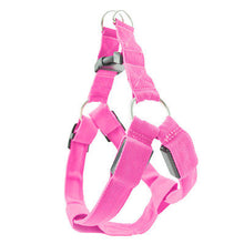 Ladda upp bild till gallerivisning, Led ljus sele till hund och katt, PINK