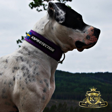 Ladda upp bild till gallerivisning, Semi Guard Purple