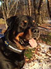 Ladda upp bild till gallerivisning, Semi Guard Black