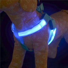 Ladda upp bild till gallerivisning, Led ljus sele till hund och katt, ORANGE