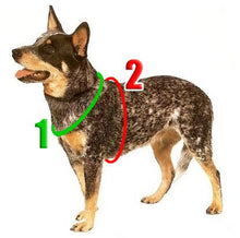 Ladda upp bild till gallerivisning, Viktväst