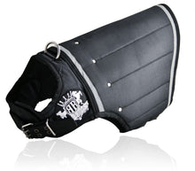 Ladda upp bild till gallerivisning, Viktväst